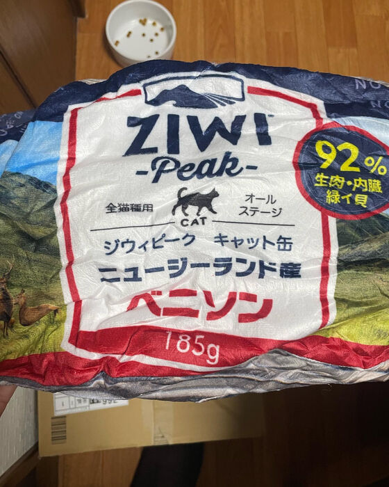 ブログ画像
