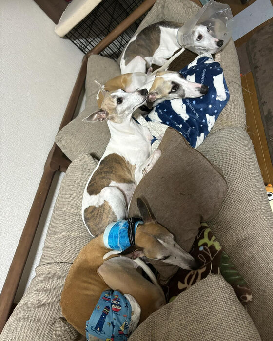 ブログ画像