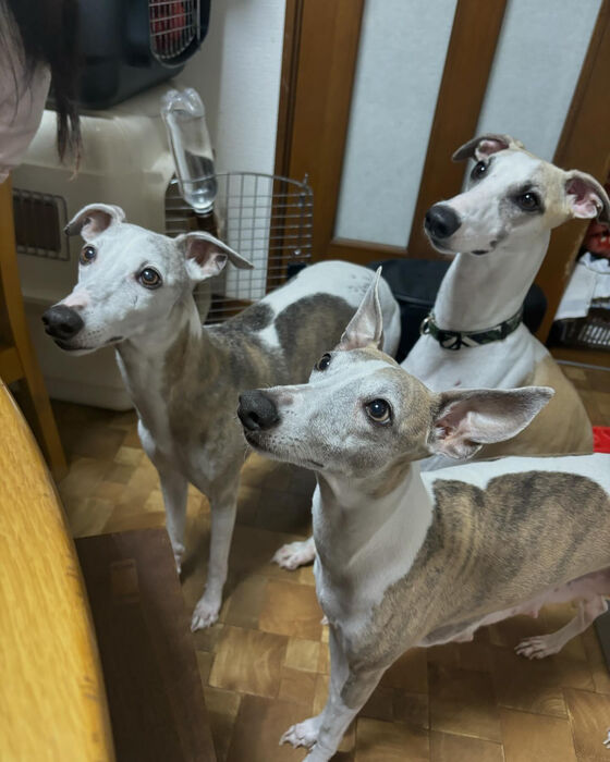ブログ画像