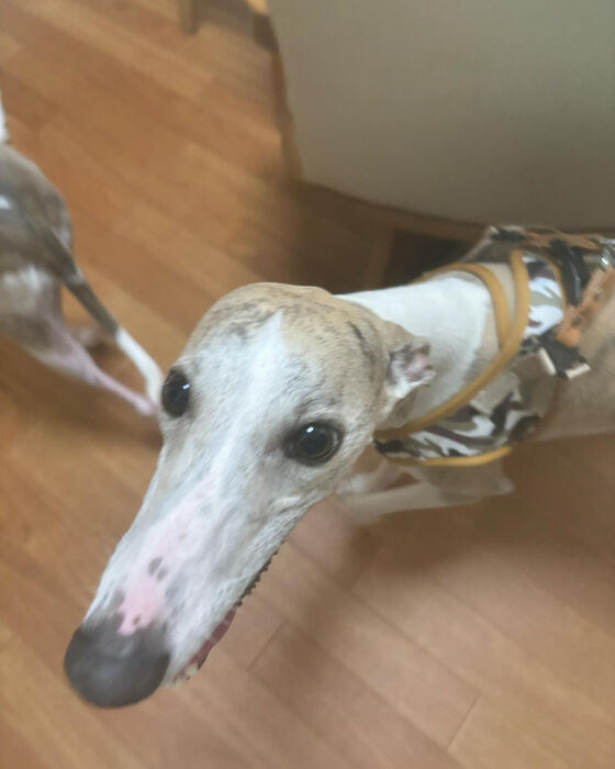 ブログ画像