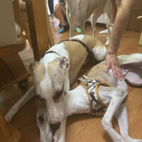 ブログ画像