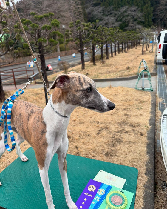 ブログ画像