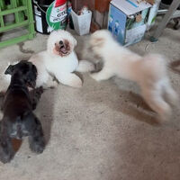動画サムネイル