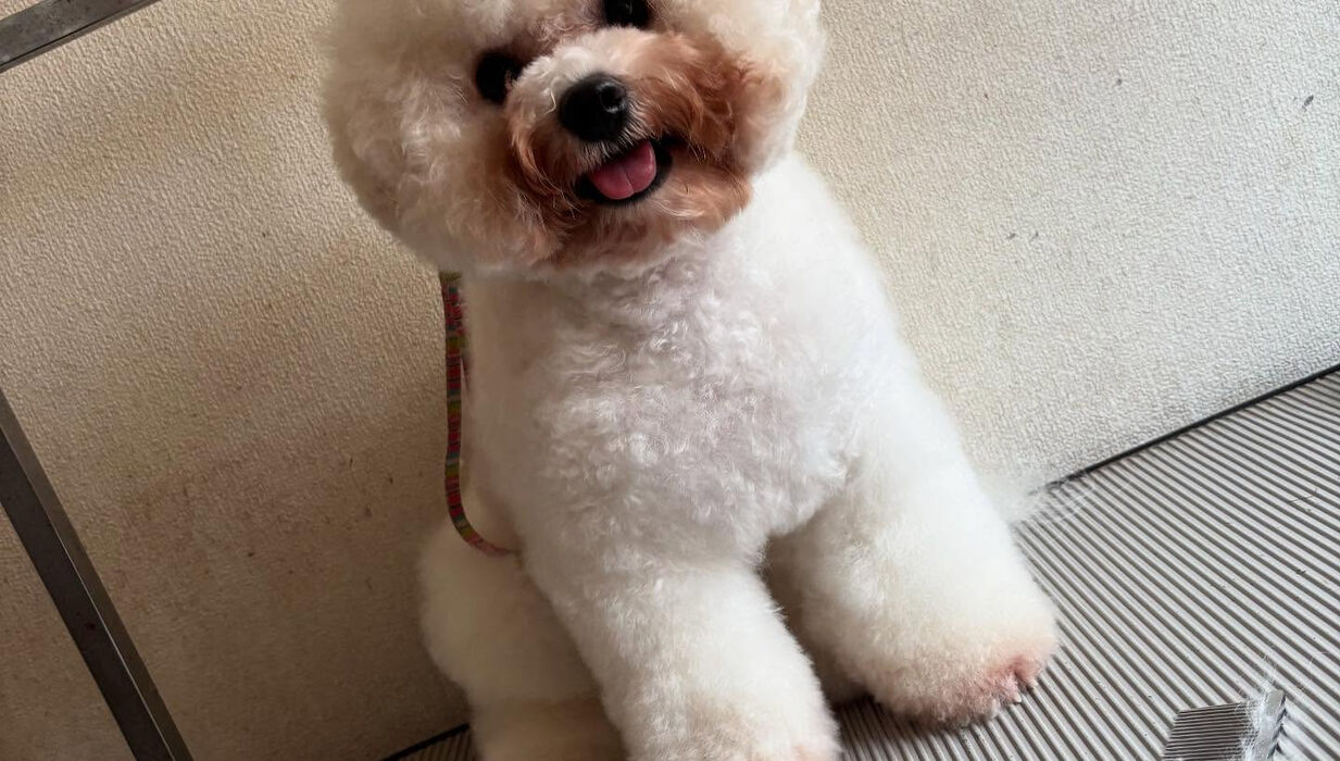 ブログ画像