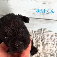 ブログ画像