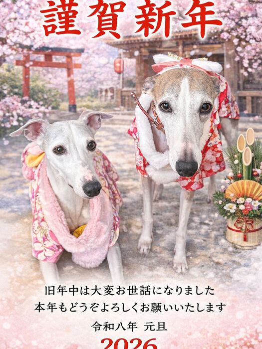 ブログ画像