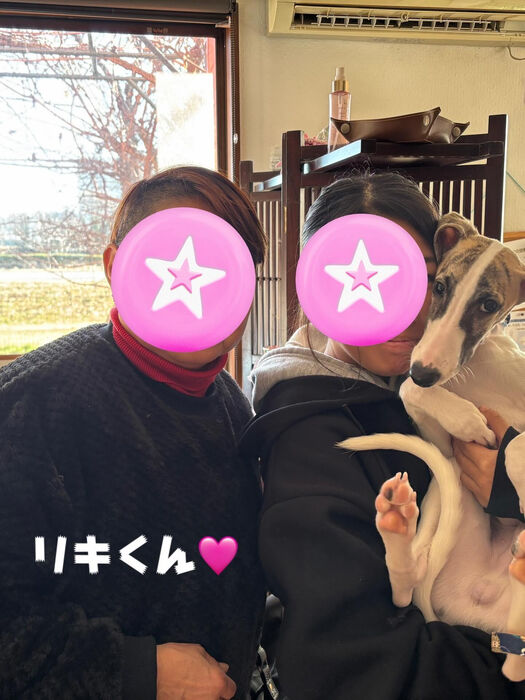 ブログ画像