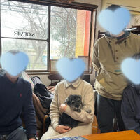 ブログ画像