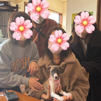 ブログ画像