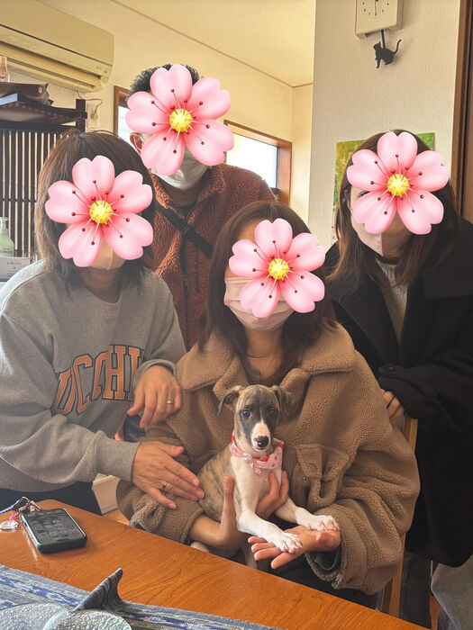ブログ画像