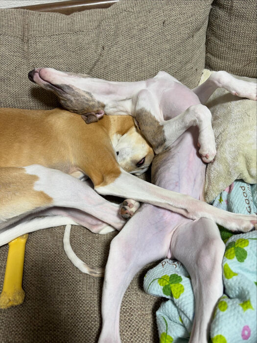 ブログ画像