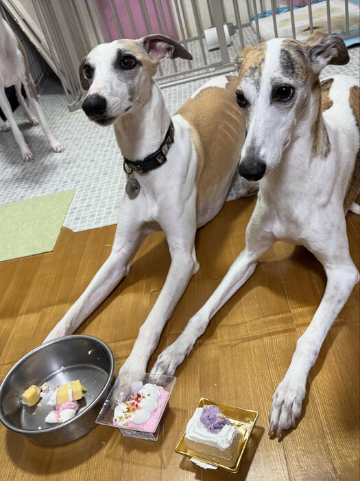 ブログ画像