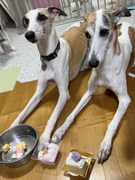 ブログ画像