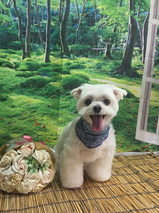ブログ画像