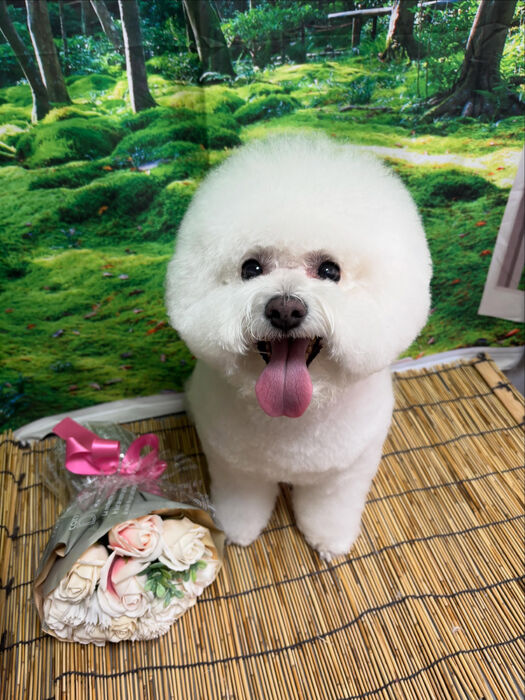 ブログ画像