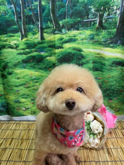 ブログ画像