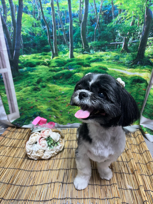 ブログ画像