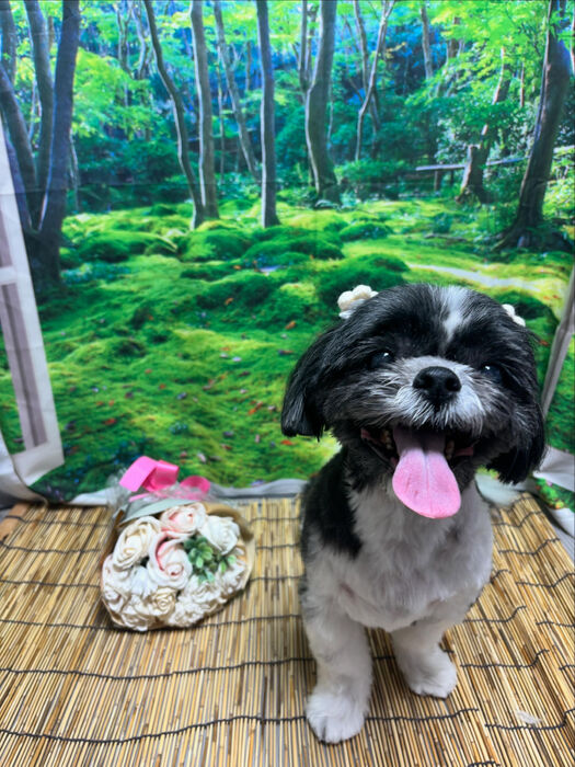 ブログ画像