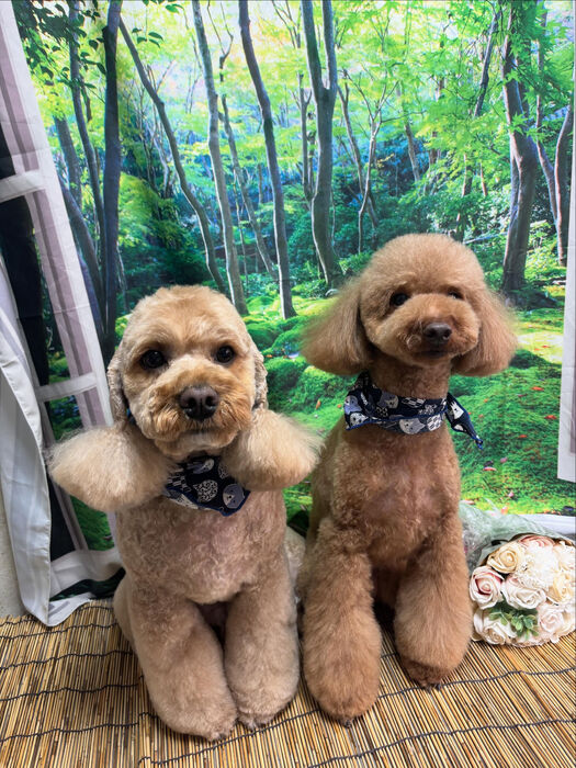 ブログ画像