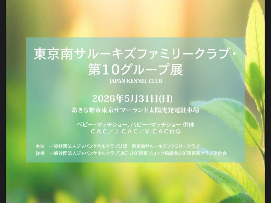 ブログ画像