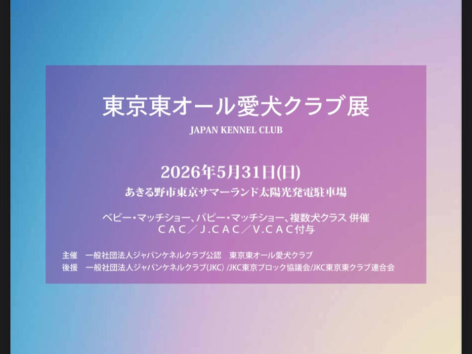ブログ画像