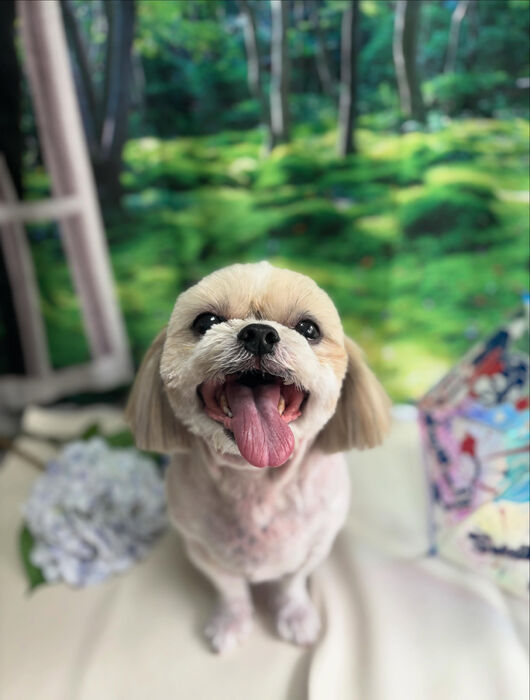 ブログ画像