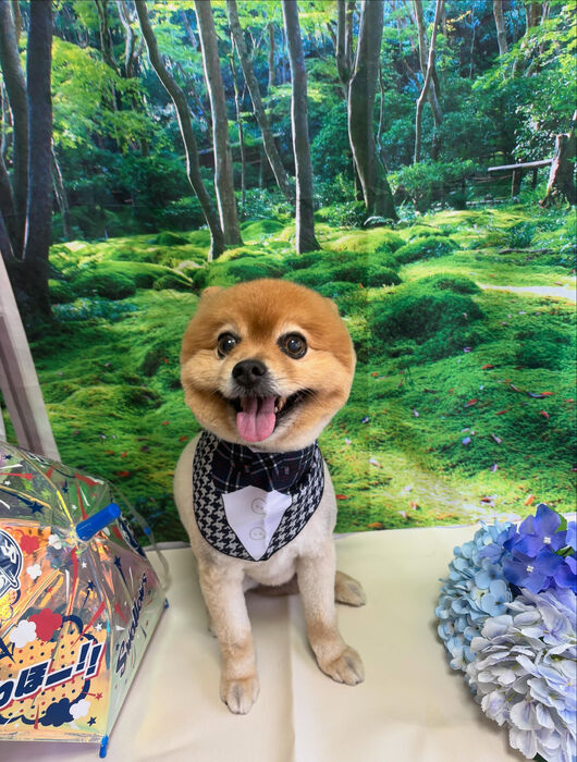 ブログ画像