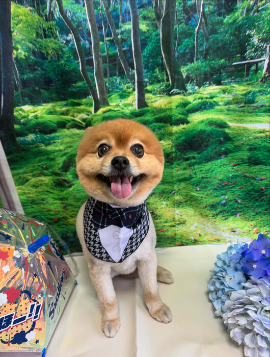 ブログ画像