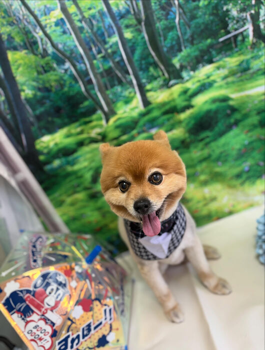 ブログ画像