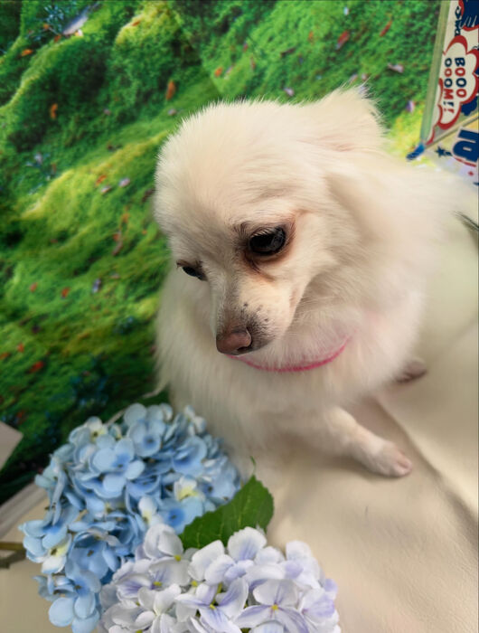 ブログ画像