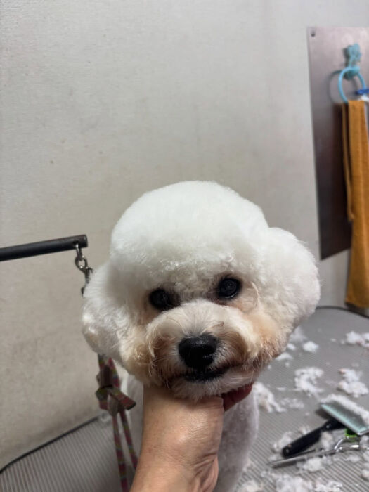 ブログ画像