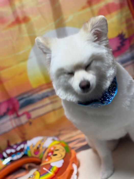 ブログ画像