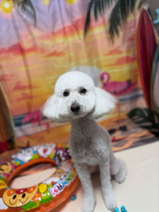 ブログ画像