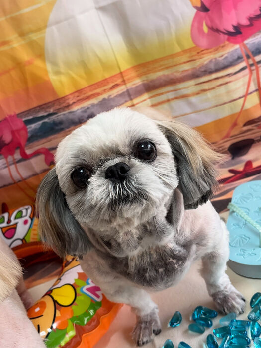 ブログ画像
