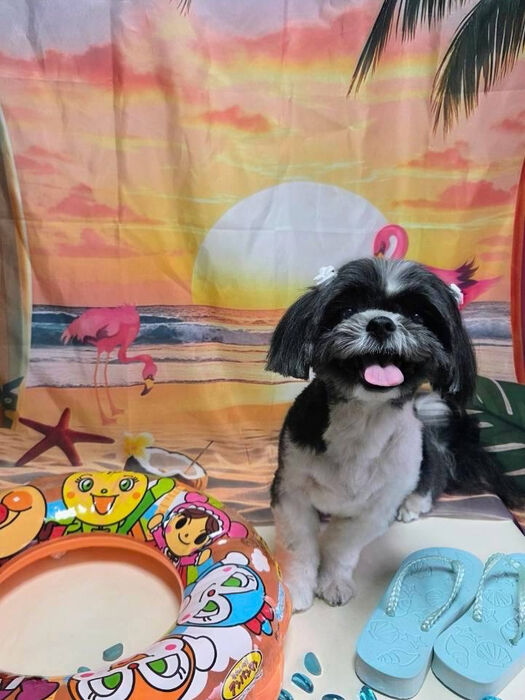ブログ画像