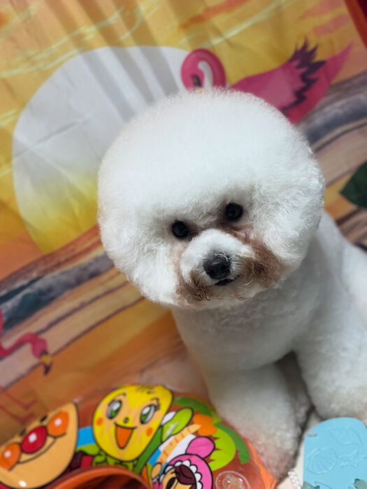 ブログ画像