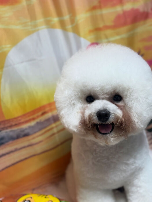 ブログ画像