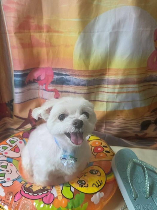 ブログ画像