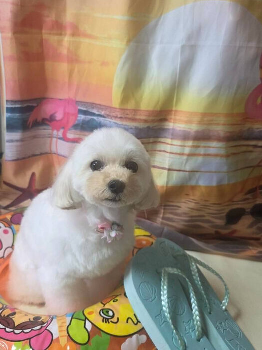 ブログ画像