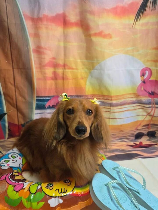 ブログ画像