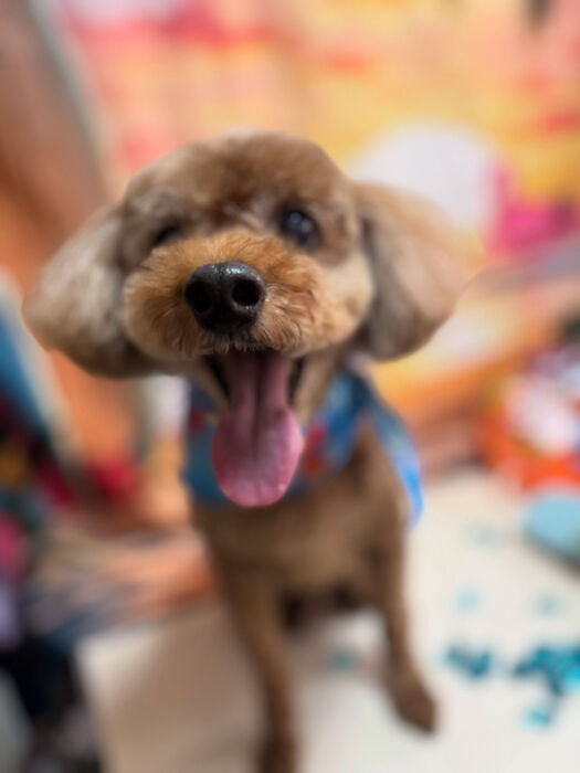 ブログ画像