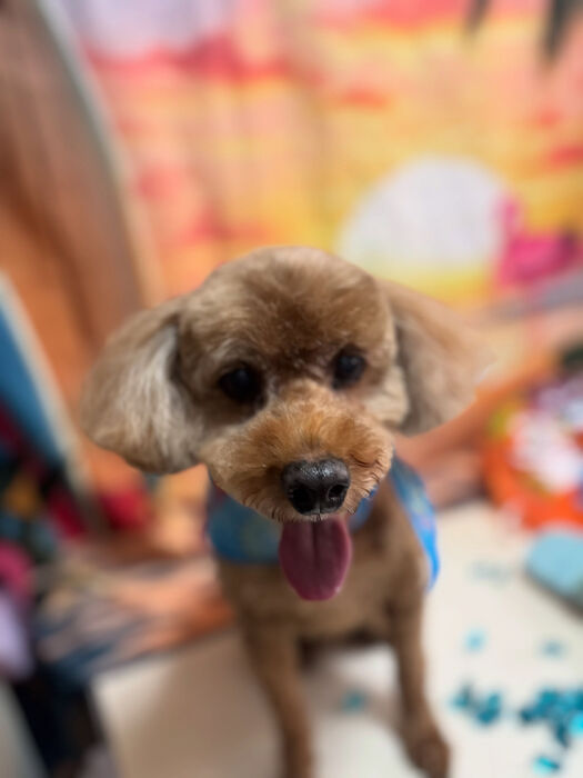 ブログ画像