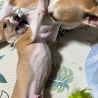 ブログ画像