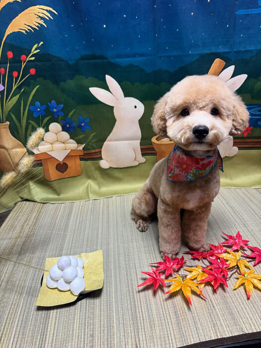 ブログ画像