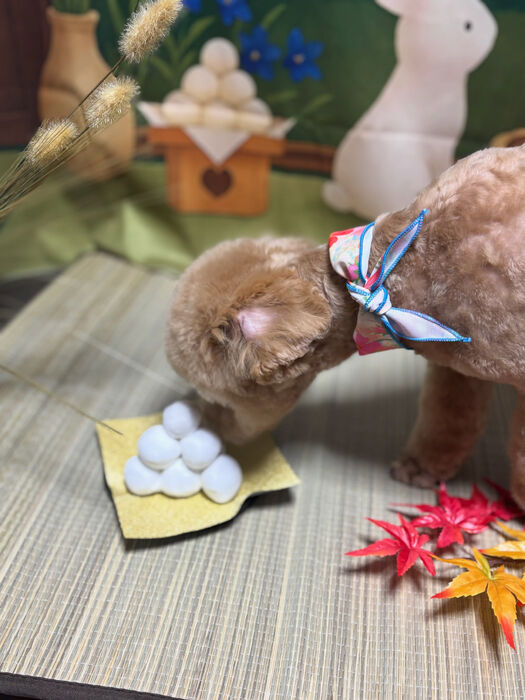 ブログ画像