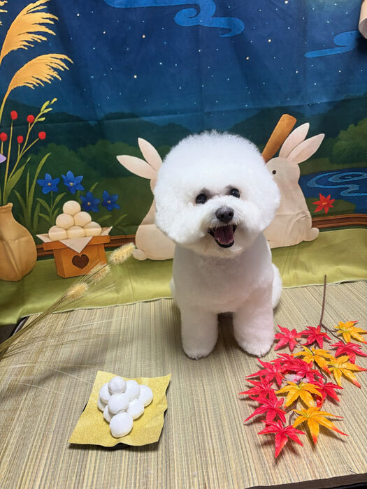 ブログ画像