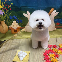 ブログ画像