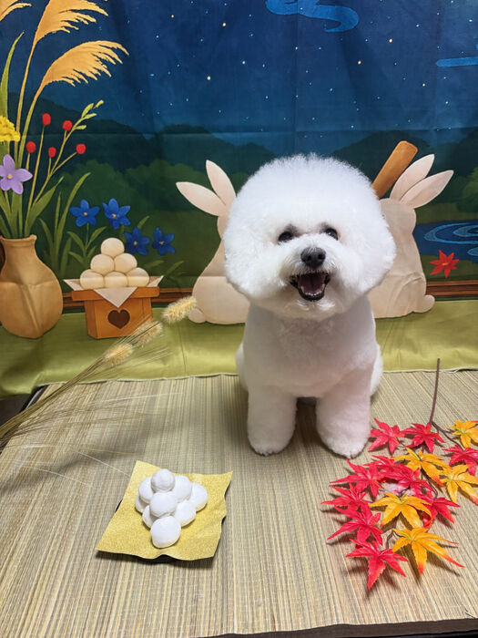 ブログ画像