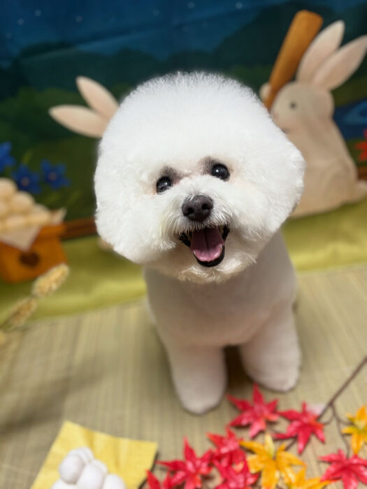 ブログ画像