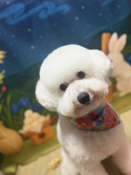 ブログ画像